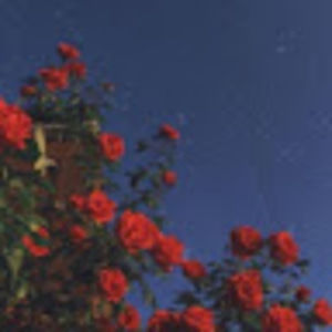 Meet your Posher, Pilar